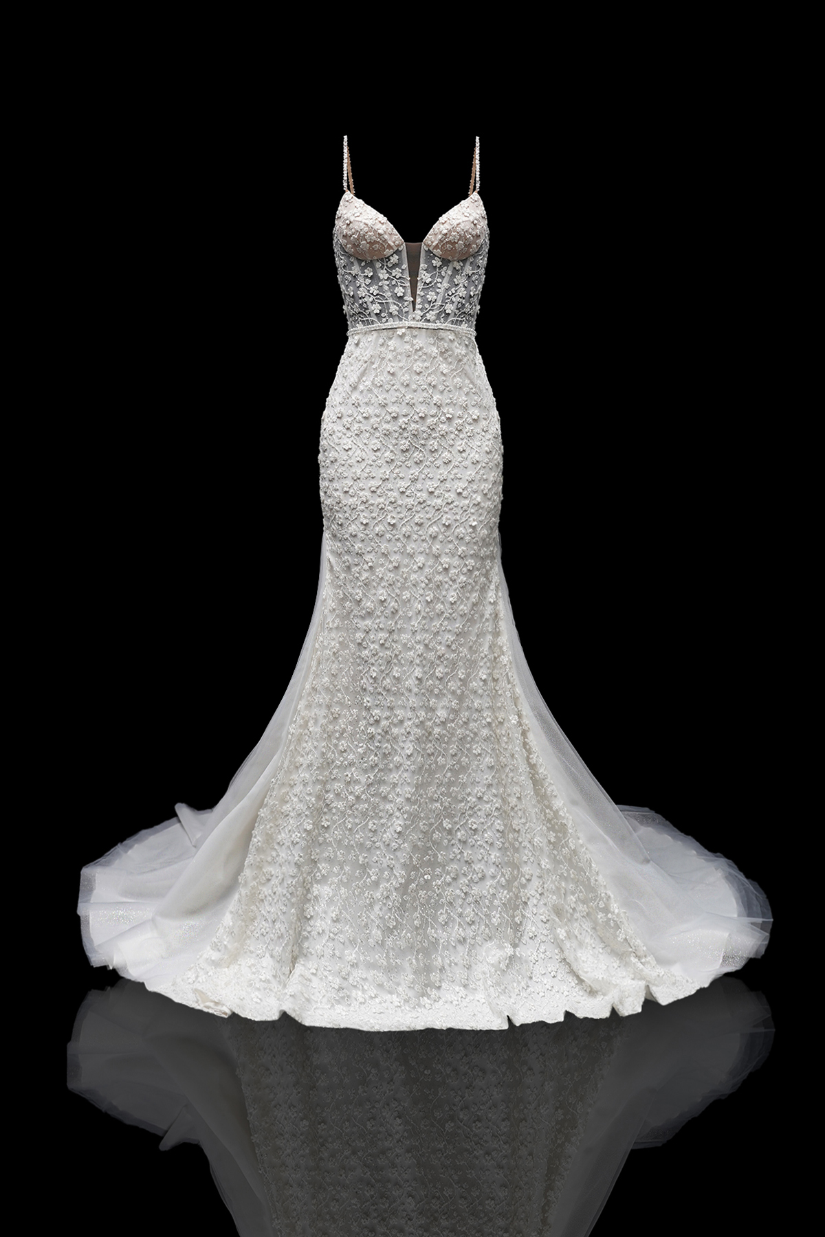 Celestina Ivory